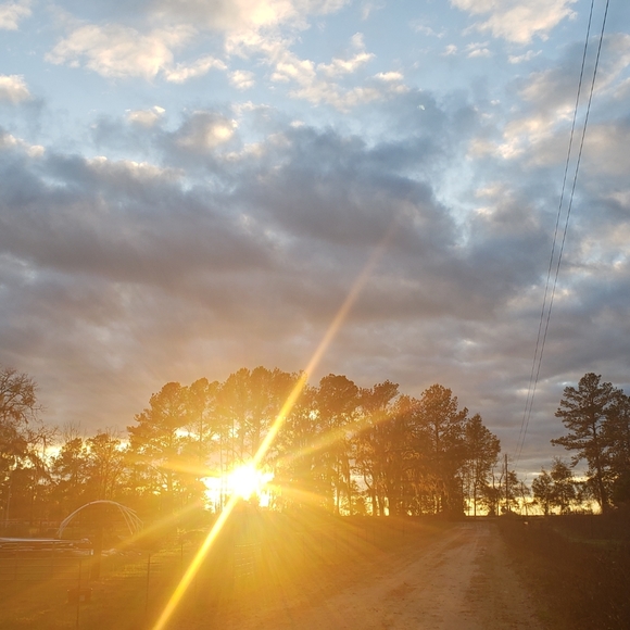 Meet your Posher, Whispering - Picture 3 of 8